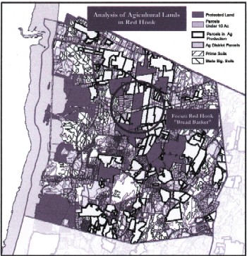 Red Hook map graphic