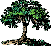 Genealogy image