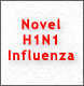 Swine Flu Information
