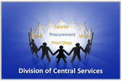 Division of Central Services image