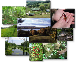 Montage of Natural Resources of Dutchess County