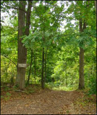 Enjoy Dutchess County's Quiet Cove Riverfront Park Enjoy Dutchess County's Quiet Cove Riverfront Park