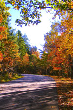 Fall image of Wilcox Park Fall image of Wilcox Park
