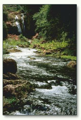 Water & Wastewater Authority Mission Statement image
